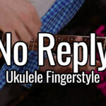no reply ukulele fingerstyle