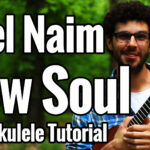 new soul ukulele