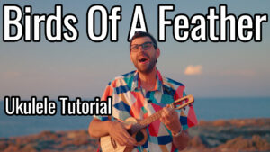 birds of a feather ukulele